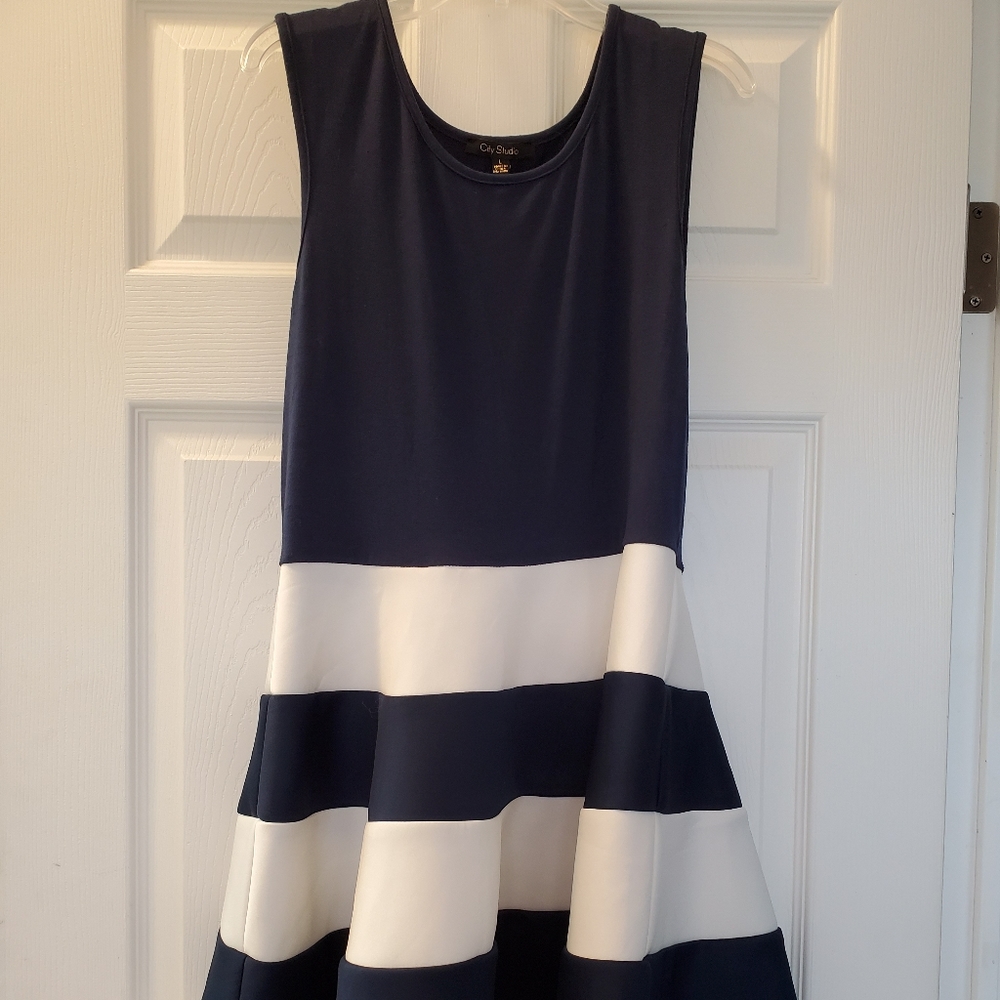 EUC Navy and White Dress